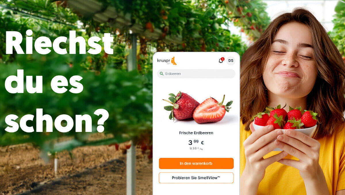 Erdbeerduft per Smartphone: Knusser macht's möglich!